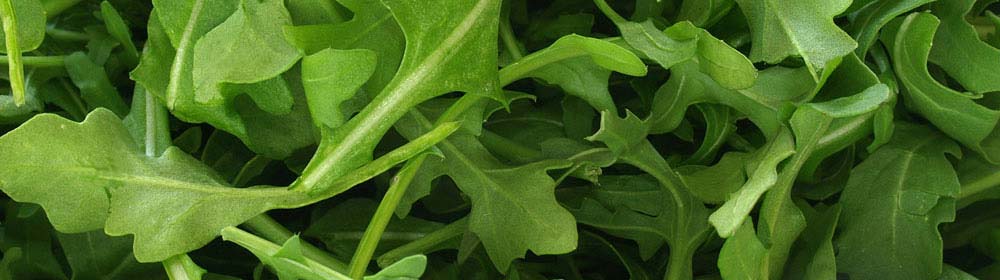 Header rucola