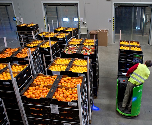 Our customers - intern transport citrus vruchten 500 x 400
