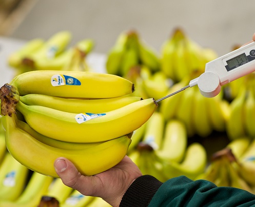 Our operations - rijperij temperaturen bananen